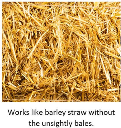 Blagdon Wildlife Barley Straw Bugs 1000 Ml