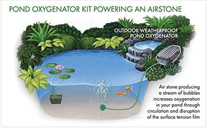 Blagdon Pond Oxygenator Kit 2 Outlet