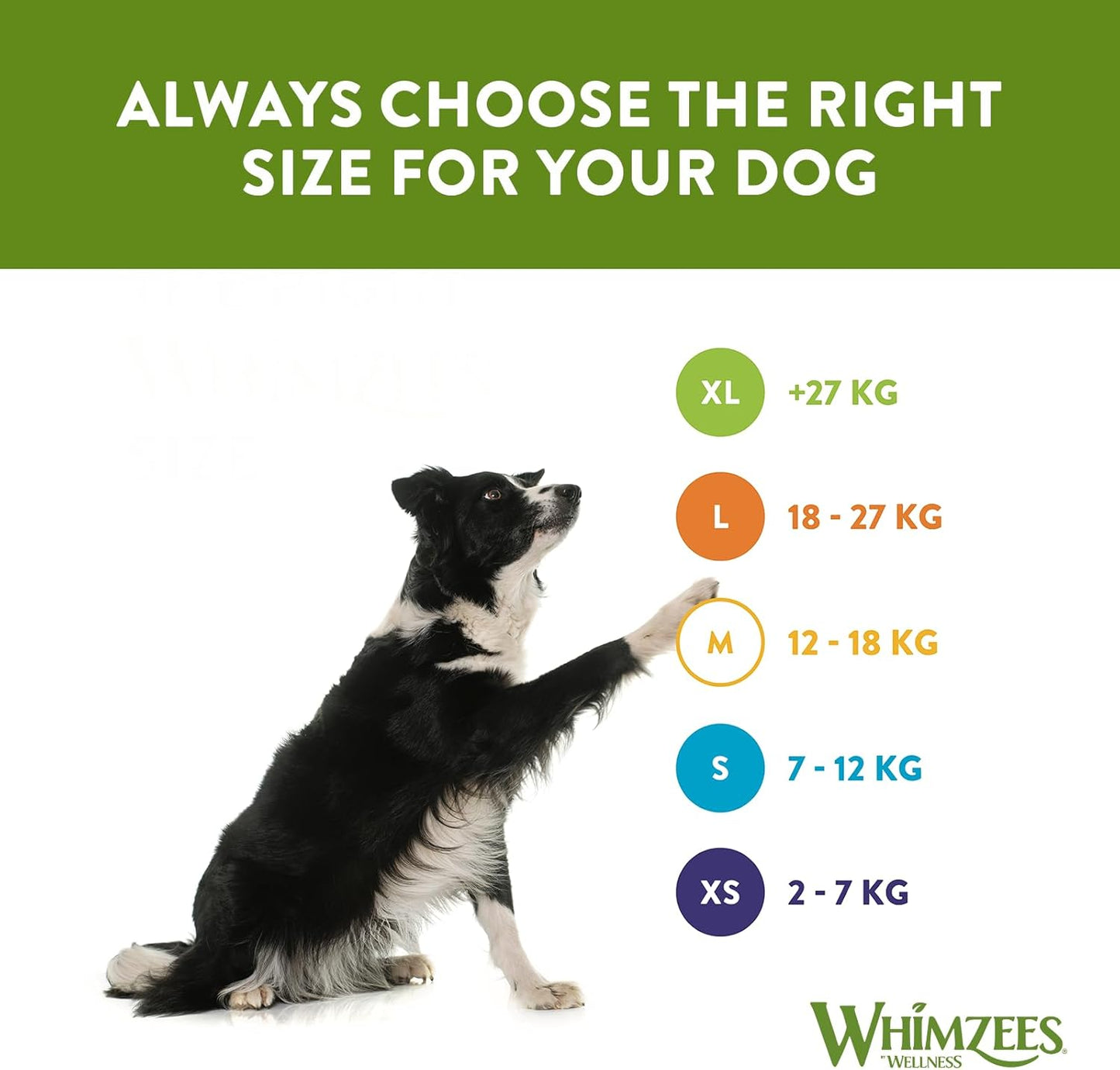 Whimzees Large Alligator 6 Pack