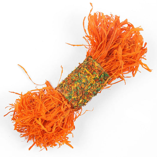 Critter's Choice Shreddy Roller Carrot Small Animal Toy