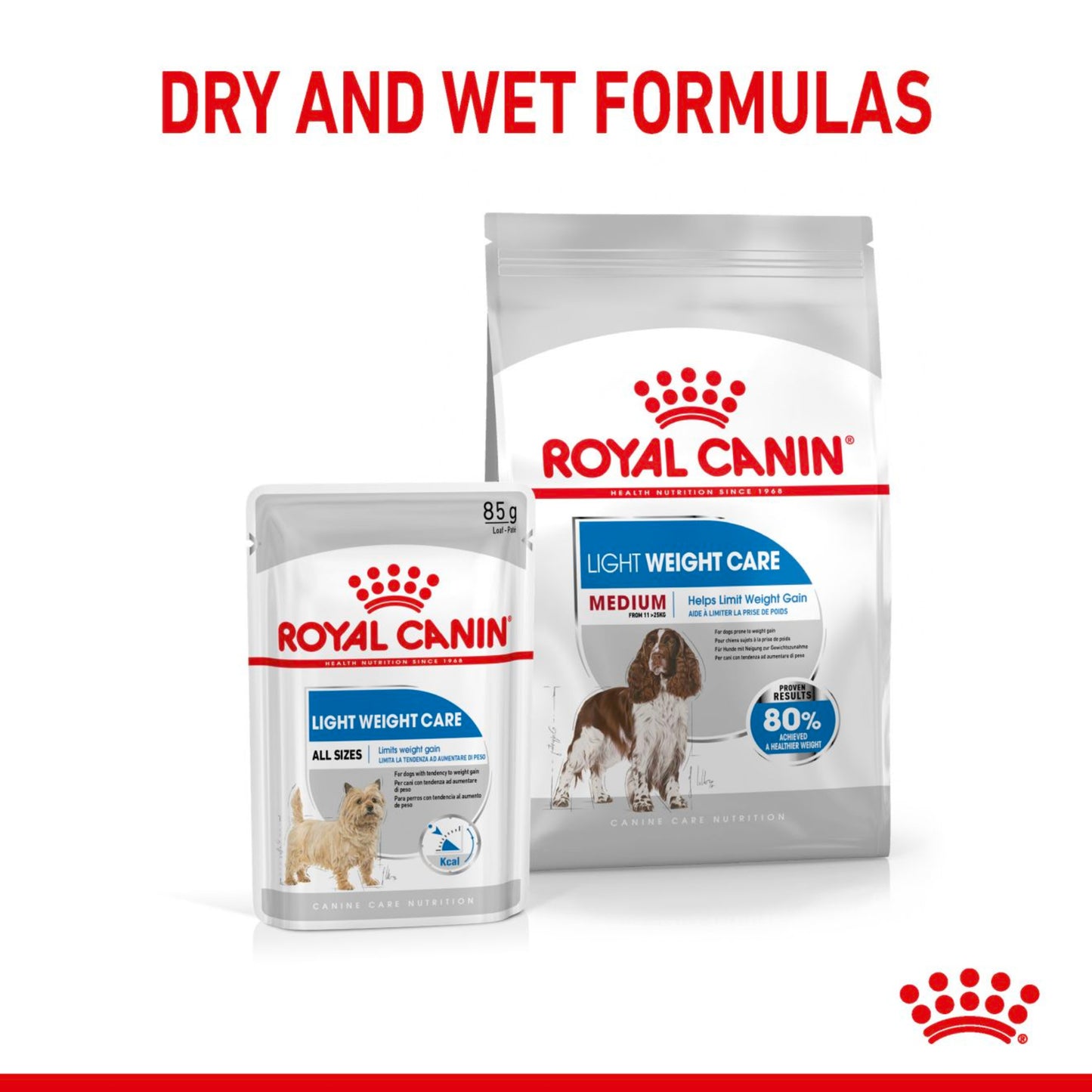 Royal Canin Medium Adult Dog Food 12kg