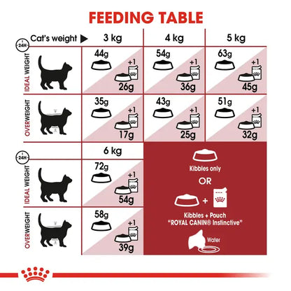 Royal Canin Fit 32 Adult Cat Food 400g