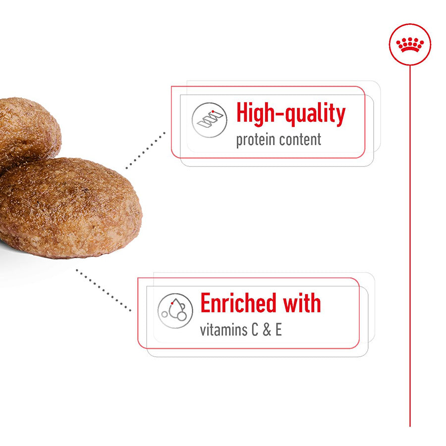 Royal Canin Medium Adult 7+ Dog Food 4kg