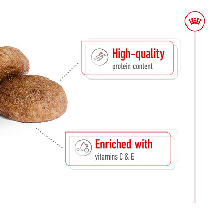 Royal Canin Medium Adult 7+ Dog Food 4kg