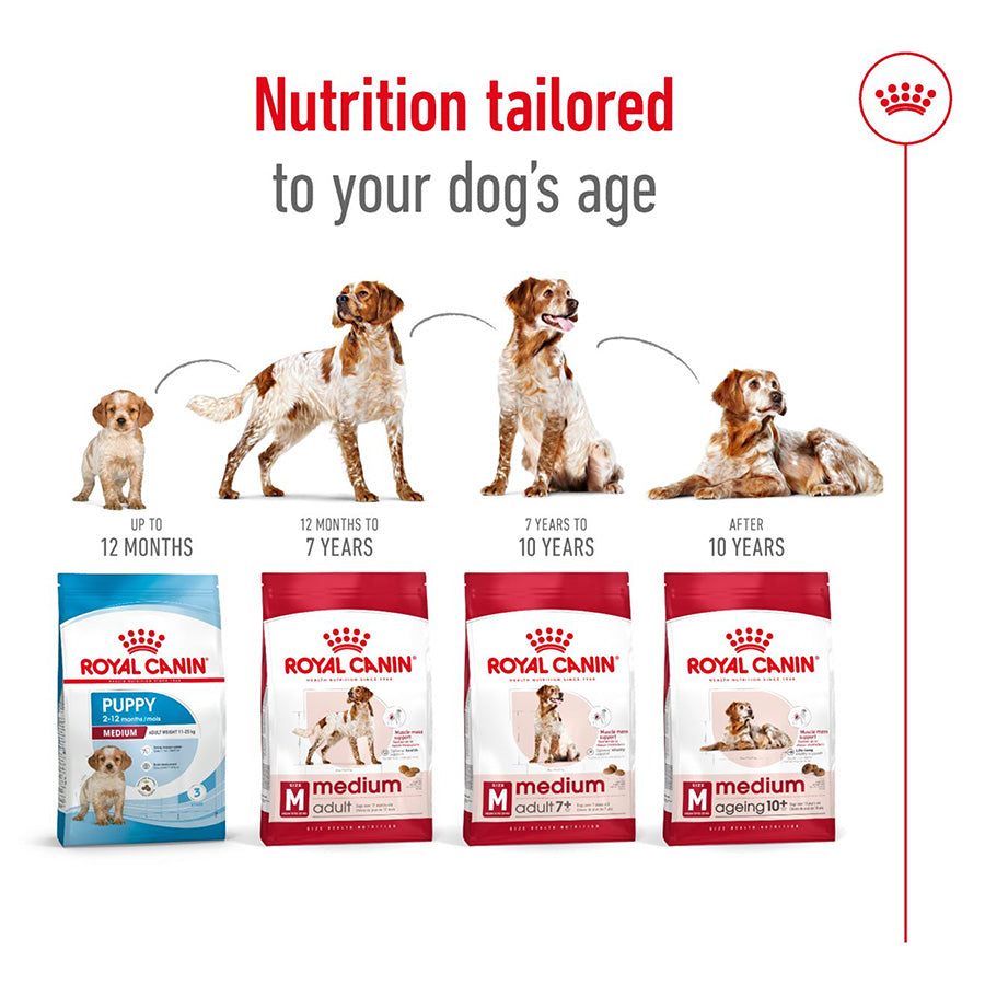 Royal Canin Medium Adult 7+ Dog Food 4kg