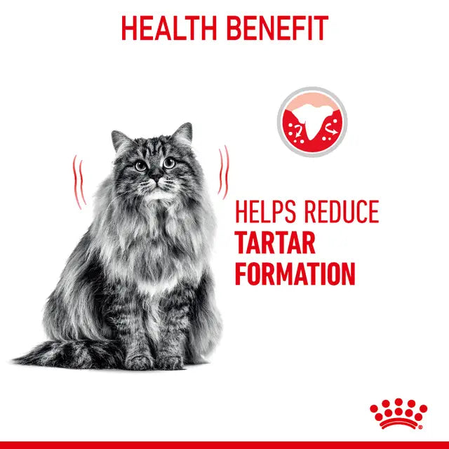 Royal Canin Dental Care Cat Food 1.5kg