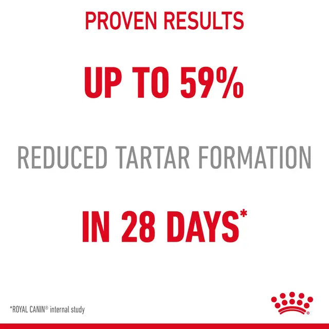 Royal Canin Dental Care Cat Food 1.5kg