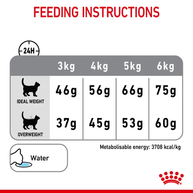 Royal Canin Dental Care Cat Food 1.5kg