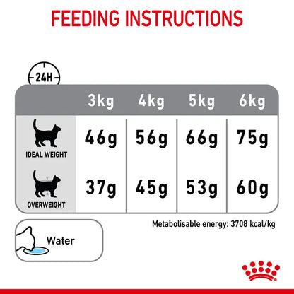 Royal Canin Dental Care Cat Food 1.5kg