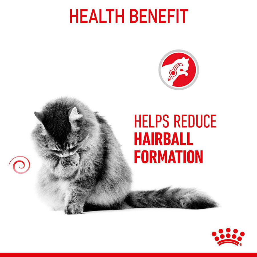 Royal Canin Cat Hairball Care 400g