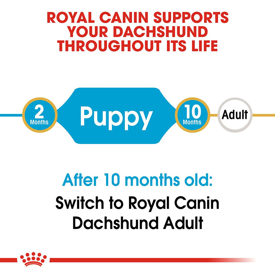 Royal Canin Dachshund Puppy Food 1.5kg