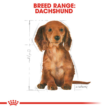 Royal Canin Dachshund Puppy Food 1.5kg