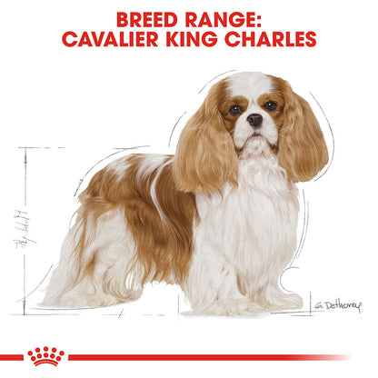 Royal Canin Adult Cavalier King Charles Dog Food 1.5kg