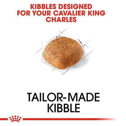 Royal Canin Adult Cavalier King Charles Dog Food 1.5kg
