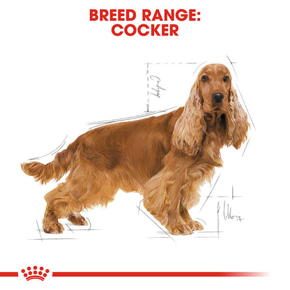 Royal Canin Adult Cocker Dog Food 3kg