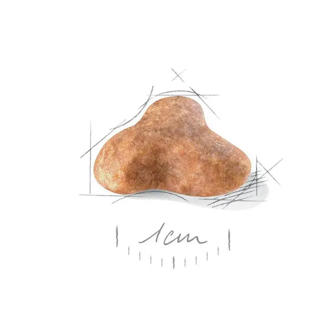 Royal Canin Adult Pug Dog Food 1.5kg