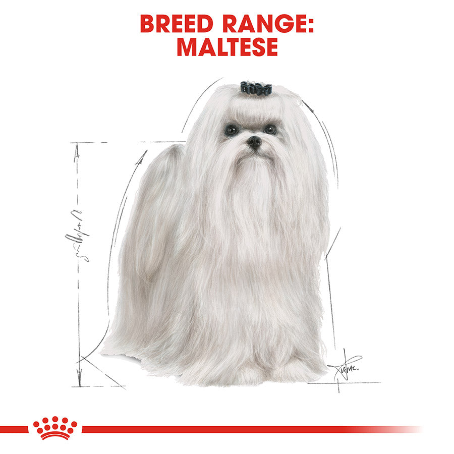 Royal Canin Maltese Adult Dog Food 1.5kg