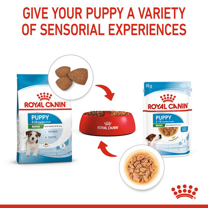 Royal Canin Mini Puppy Food 2kg