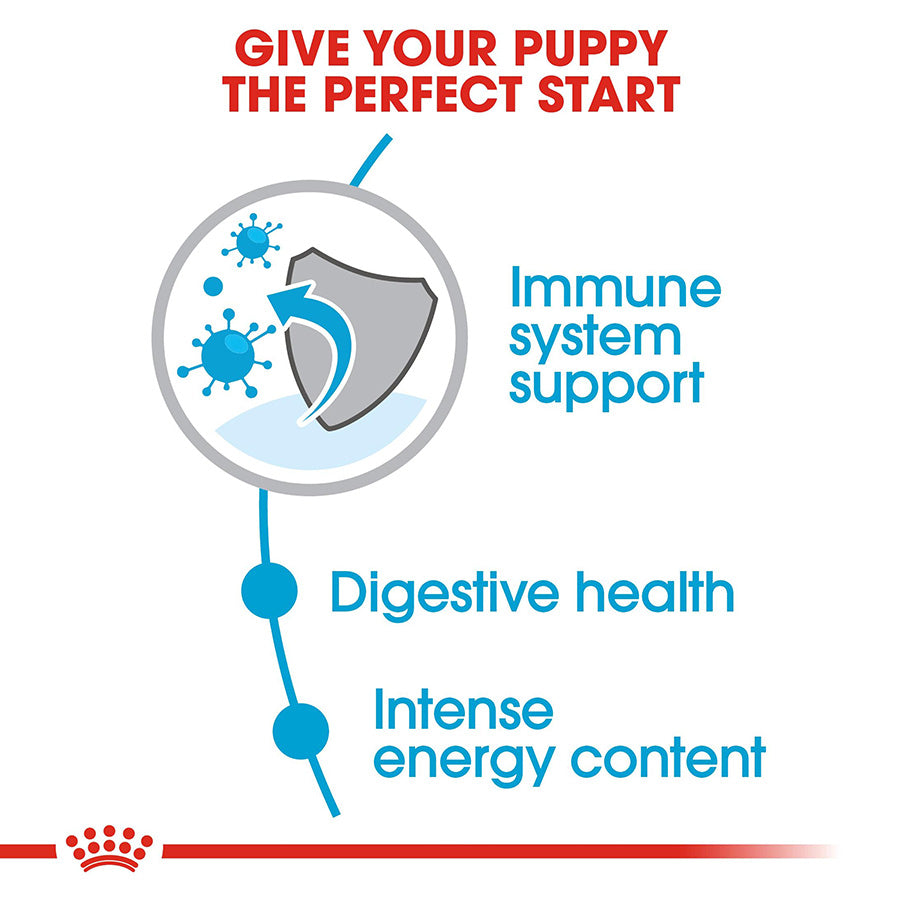 Royal Canin Mini Puppy Food 4kg