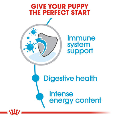 Royal Canin Mini Puppy Food 4kg
