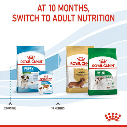 Royal Canin Mini Puppy Food 8kg
