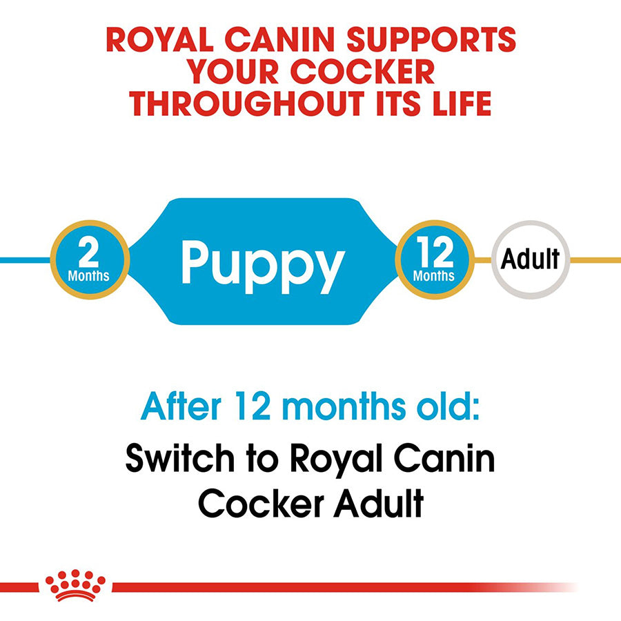 Royal Canin Cocker Spaniel Puppy Food 3kg