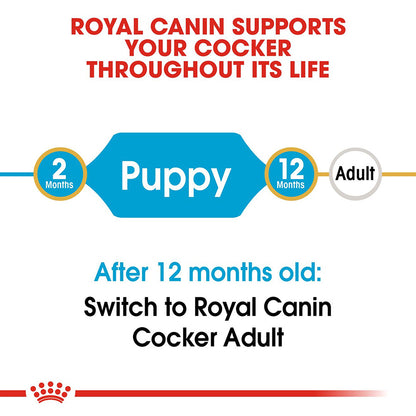 Royal Canin Cocker Spaniel Puppy Food 3kg