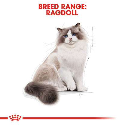 Royal Canin Ragdoll Adult Cat Food 2kg
