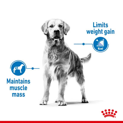 Royal Canin Medium Light Weight Care Dog Food 12kg