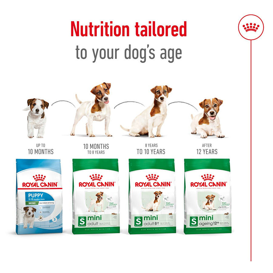 Royal Canin Mini Adult Dog Food 4kg
