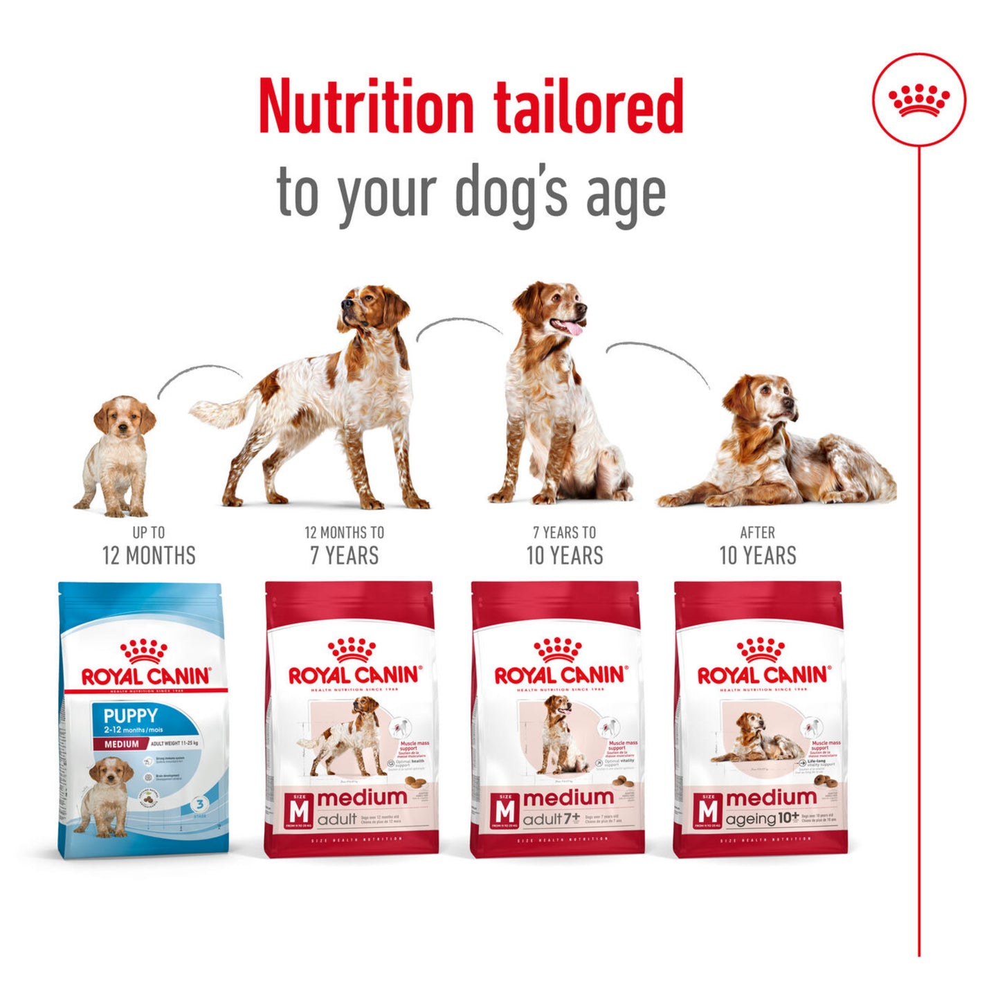 Royal Canin Medium Adult Dog Food 3kg
