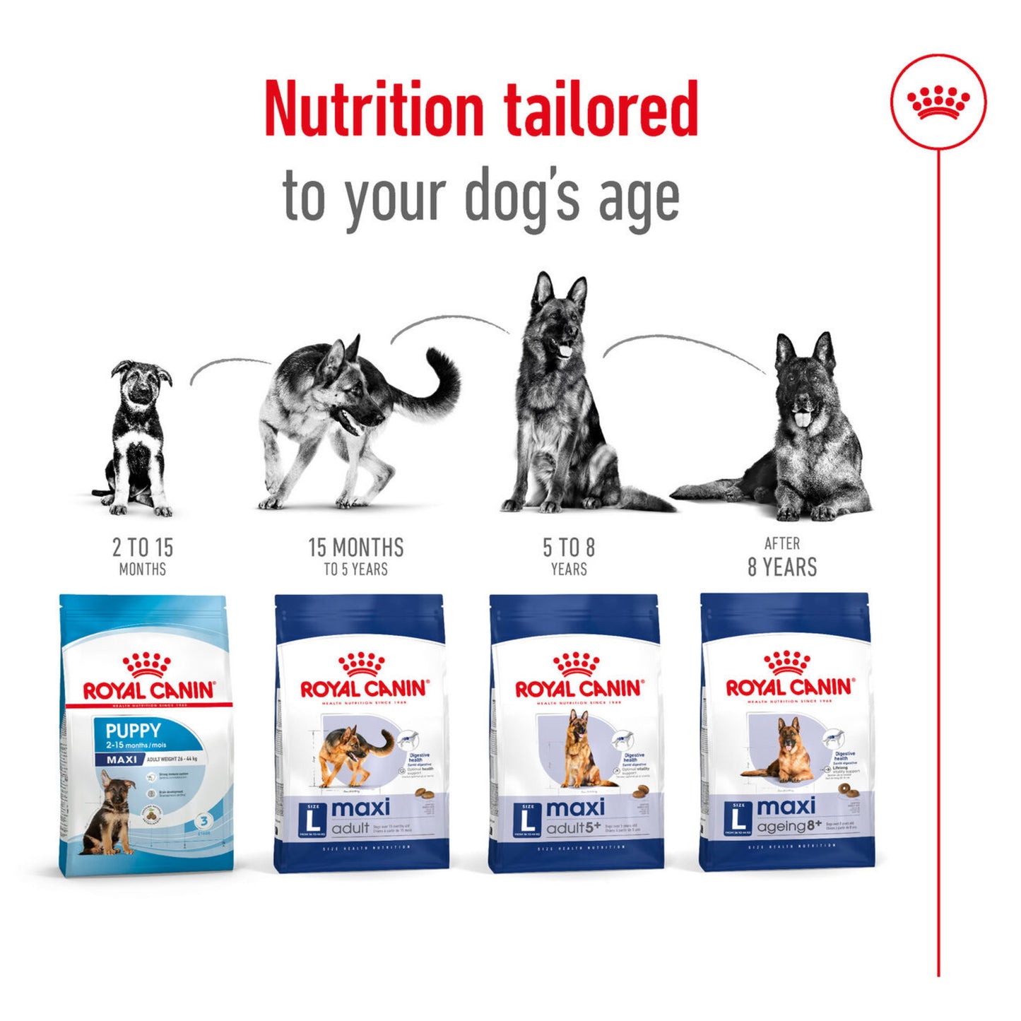 Royal Canin Maxi Large Breed Adult Dog Food 3kg