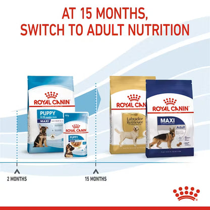 Royal Canin Maxi Large Breed Puppy Food 12kg