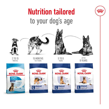 Royal Canin Maxi Adult  Dog Food 12kg