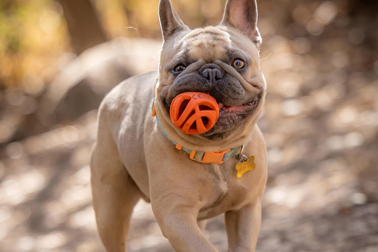 Chuckit! Air Fetch Ball Small 4.8cm 2 Pack
