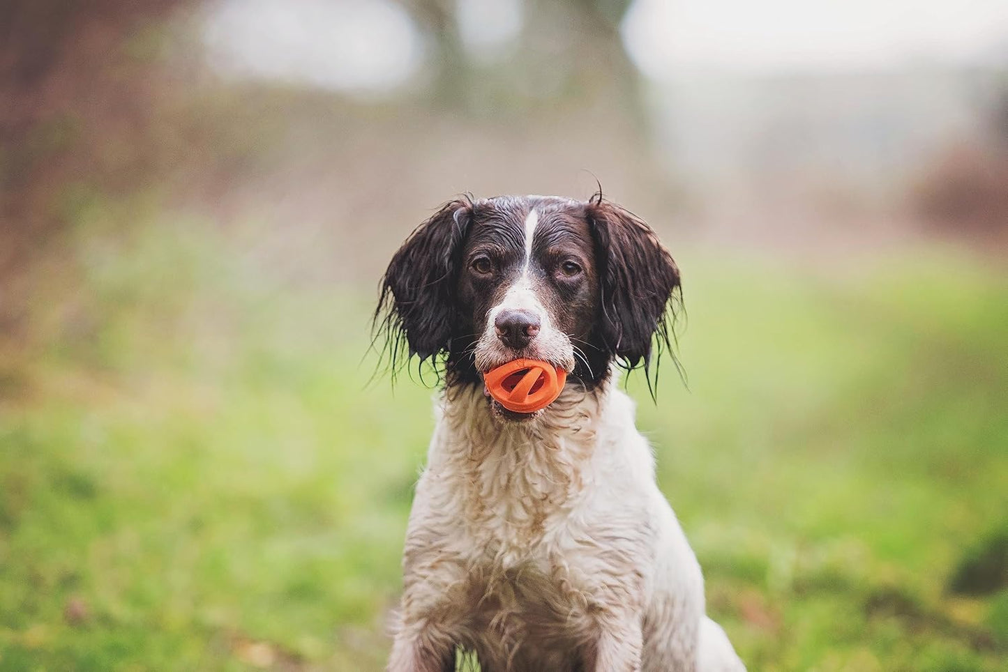 Chuckit! Air Fetch Ball Medium 2 Pack