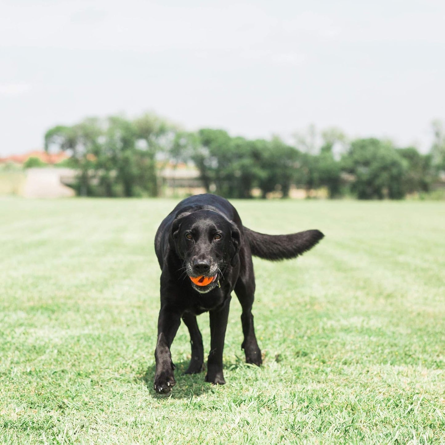 Chuckit! Air Fetch Ball Medium 2 Pack