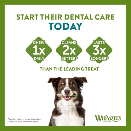 Whimzees Medium Toothbrush 12 Pack