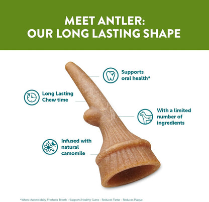 Whimzees Medium Antler 12 Pack