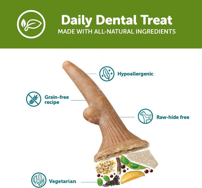 Whimzees Medium Antler 12 Pack