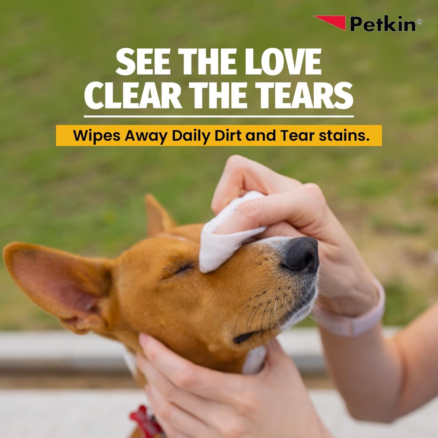 Petkin Eye Wipes for Dogs & Cats – Jumbo 80 Pack | Tear Stain & Discharge Remover