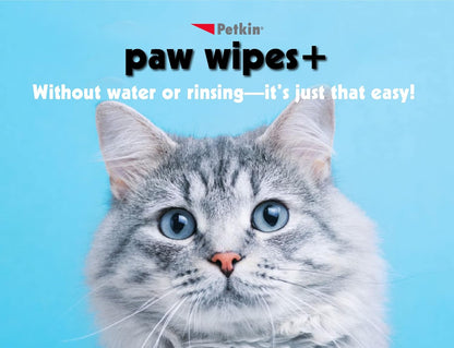 Petkin Paw Wipes 100 Tub