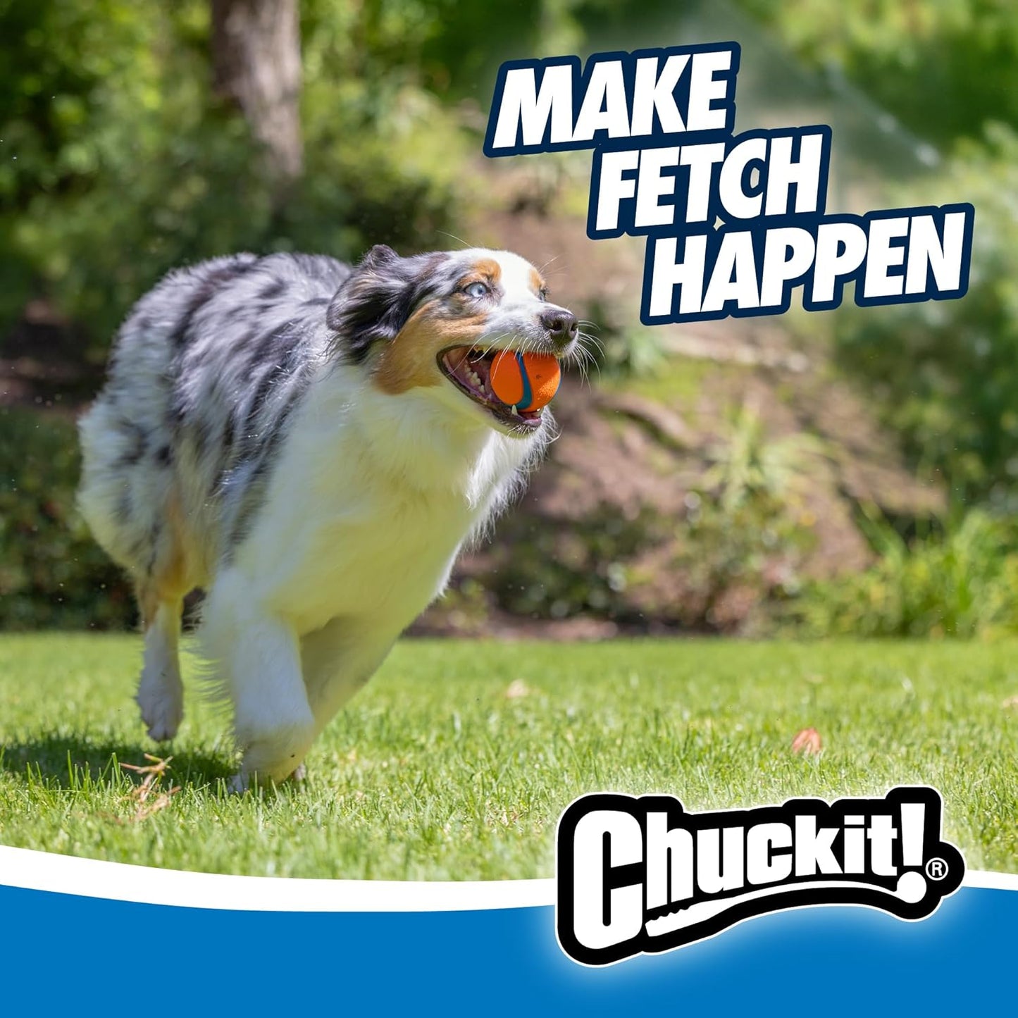 Chuckit! Ultra Ball 2 Pack Medium 6.5cm