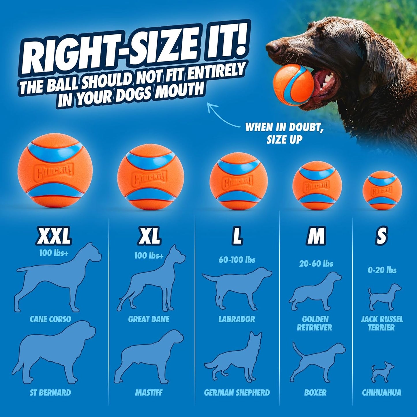 Chuckit! Ultra Ball Large 7.3cm 1 Pack