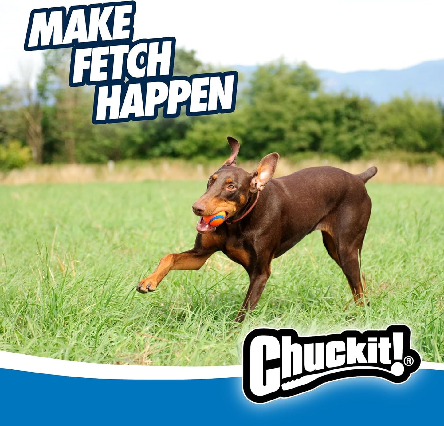 Chuckit! Ultra Ball Large 7.3cm 1 Pack