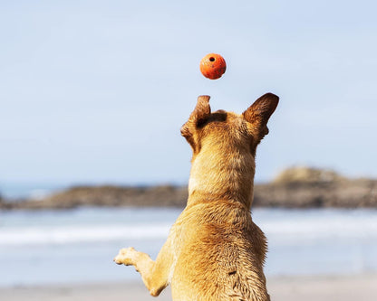 Chuckit! Fetch Ball 2 Pack Small 4.8cm