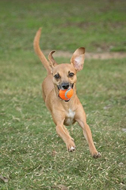 Chuckit! Tennis Ball Small 4.8cm 2 Pack