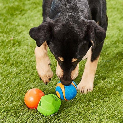 Chuckit! Fetch Medley 2 Assorted Medium 6.5cm 3 Pack