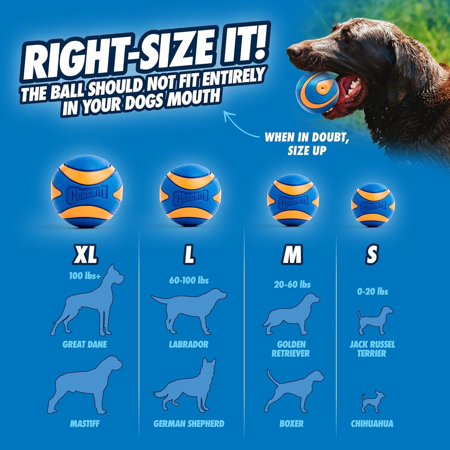 Chuckit! Ultra Squeaker Ball Medium 6.5cm 2 Pack