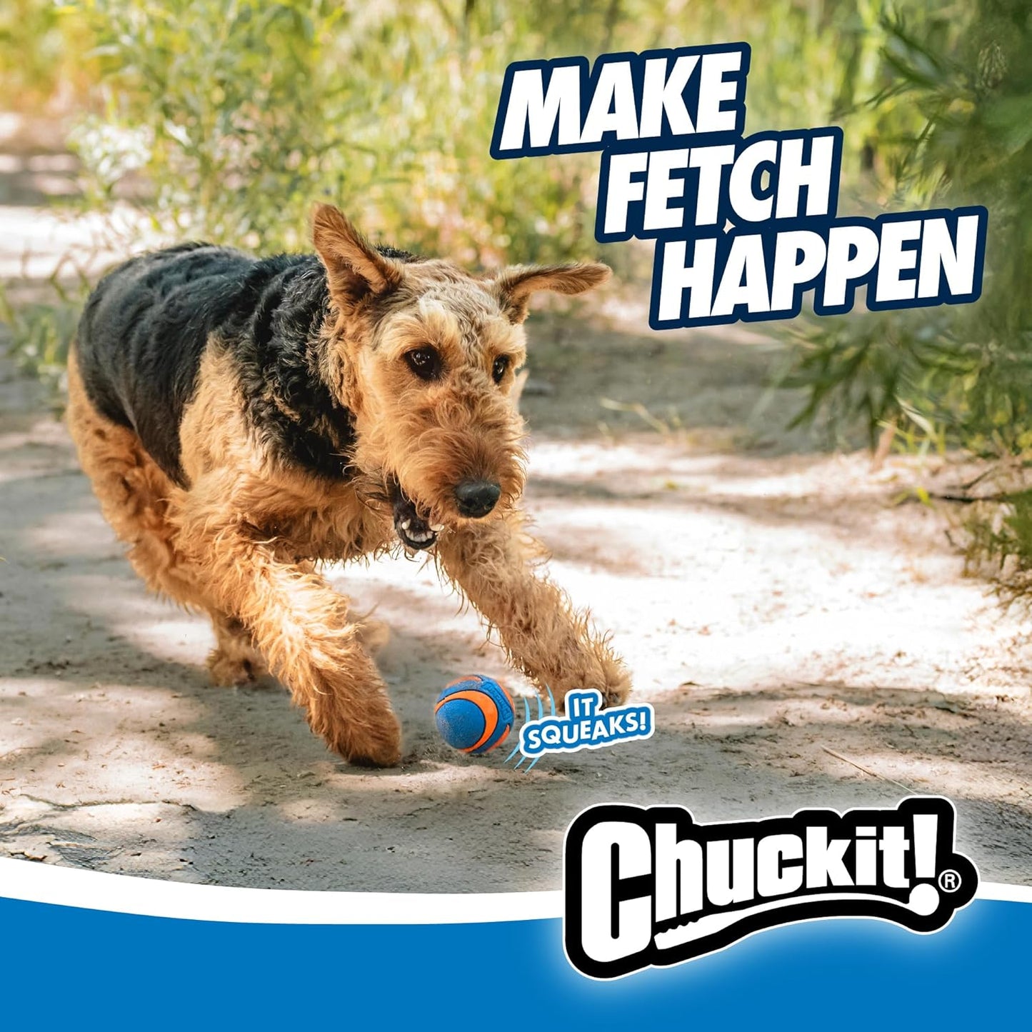 Chuckit! Ultra Squeaker Ball Medium 6.5cm 2 Pack